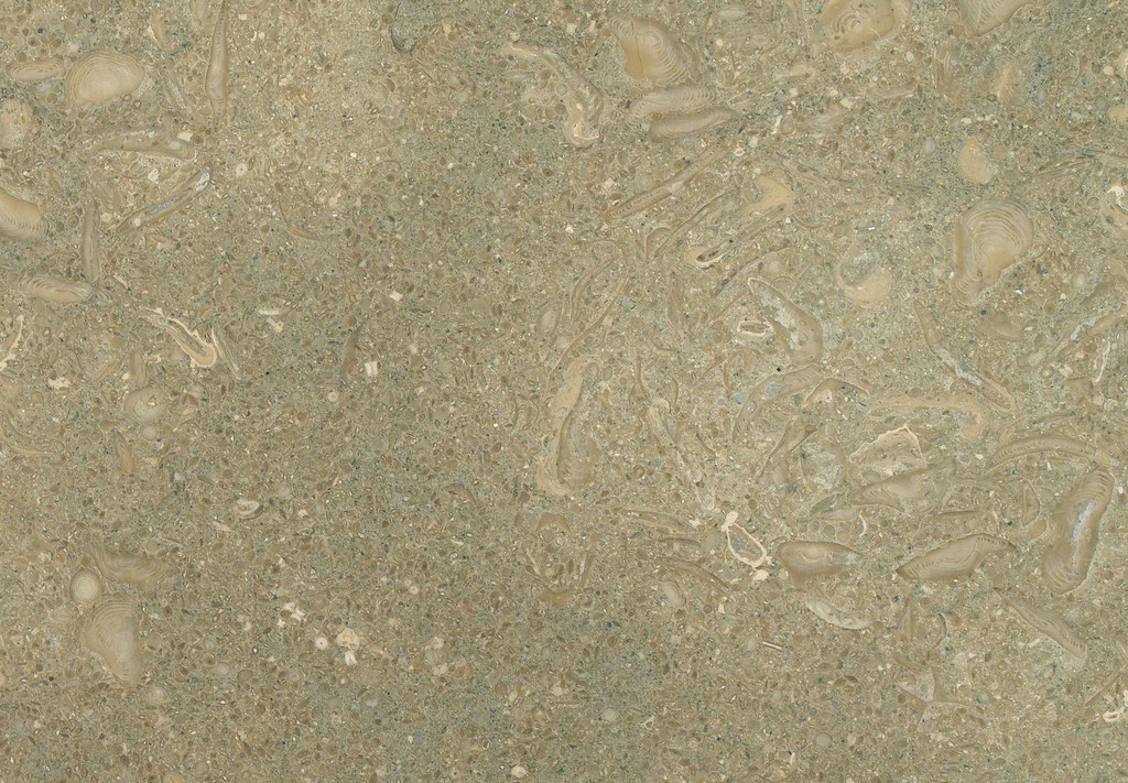 Fossil Green